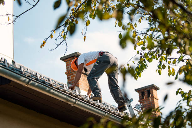 Sealant for Roof in Ferndale, CA