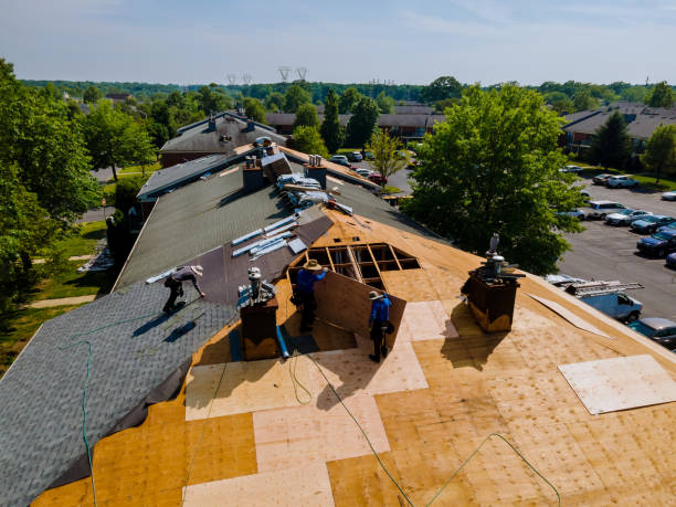 Best Metal Roofing Contractor  in Ferndale, CA