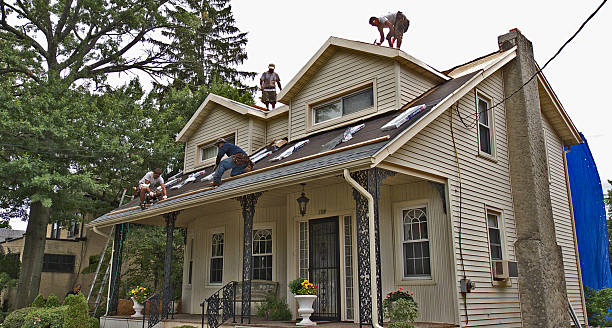 Best Roof Leak Repair  in Ferndale, CA